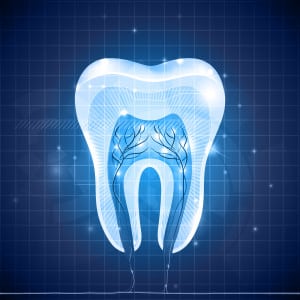 bigstock Abstract Tooth Cross Section 56582534