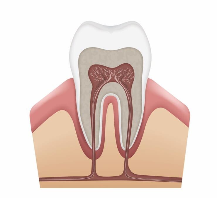 How to Choose an Endodontist: A Guide to Finding the Right Specialist