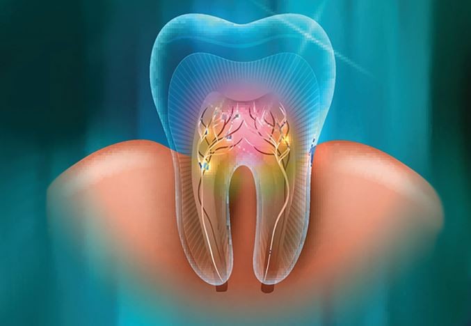 Choosing the Right Endodontist for Your Root Canal Treatment