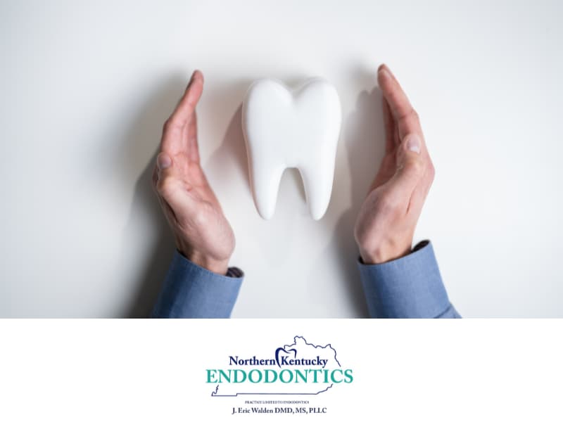 Saving Your Natural Tooth: Why Kentucky Endodontics is Your Trusted Partner in Dental Care