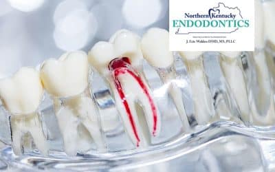 What endodontic services does Dr. Eric Walden offer?