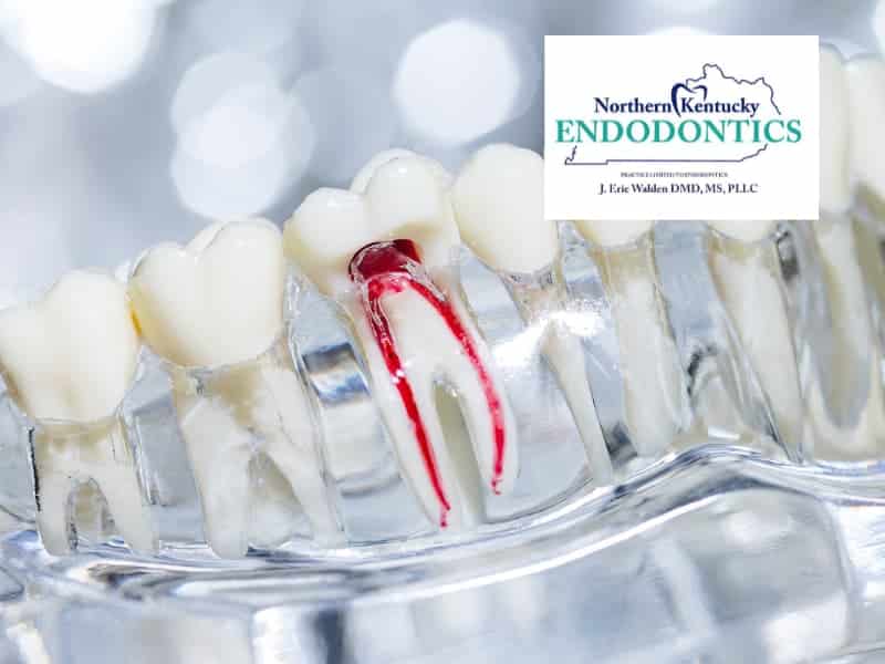 What endodontic services does Dr. Eric Walden offer?